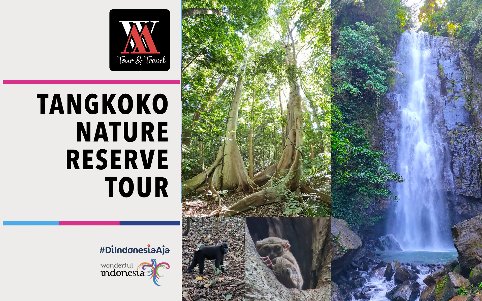 Thumbnail Tangkoko Nature Reserve Tour & Tunan Waterfall